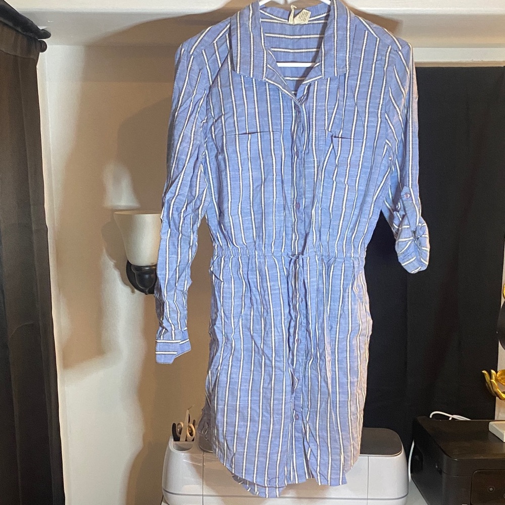 J. Crew Long Sleeve Blue Striped Dress